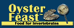 oyster-feast